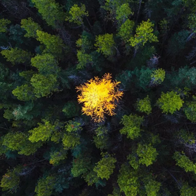 成都H5开发：答题系统移动web