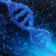 东方神泰app+微信