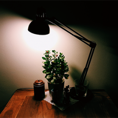 成都app开发：智能LED控制app